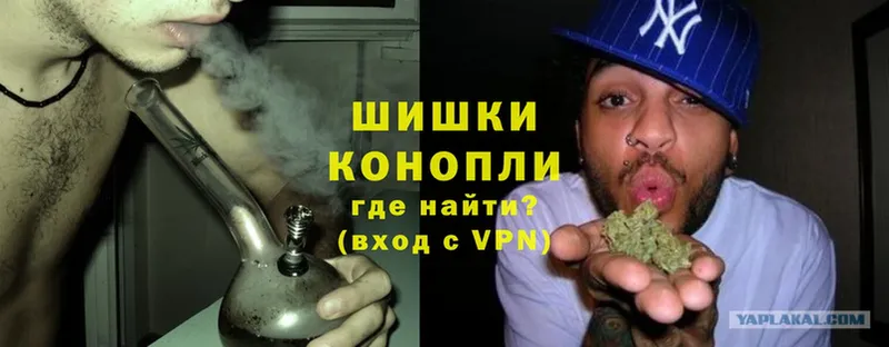 хочу   Старая Русса  Шишки марихуана White Widow 